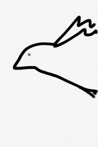 Sketchesbird